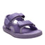 VIOLETA